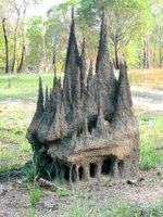 Termite_mound.jpeg